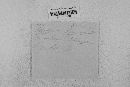 Pseudopeziza medicaginis image