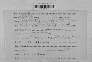 Pseudopeziza medicaginis image