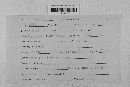 Pseudopeziza medicaginis image
