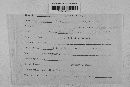 Pseudopeziza medicaginis image