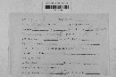 Pseudopeziza medicaginis image