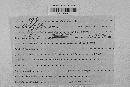 Pseudopeziza medicaginis image