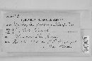 Hypoxylon fuscum image