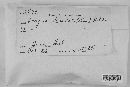 Arcyria denudata image