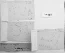 Heterotextus alpinus image