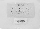 Entyloma compositarum image