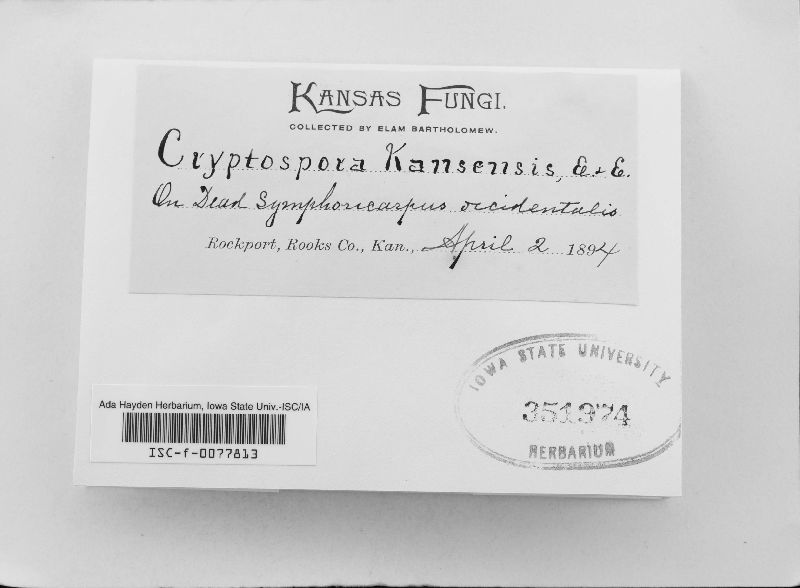Cryptospora kansensis image