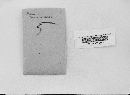 Claviceps purpurea image