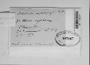 Puccinia recondita image