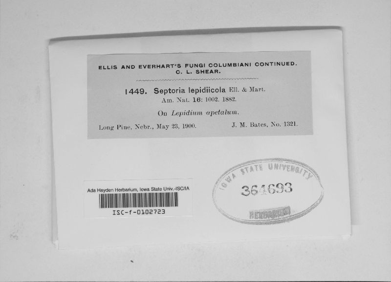 Septoria lepidiicola image