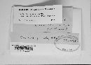 Erysiphe necator image
