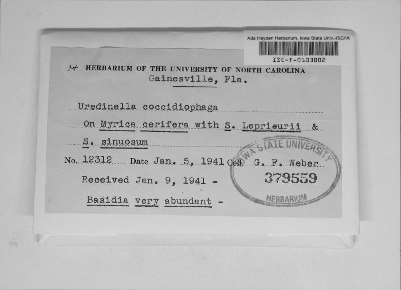 Uredinella image