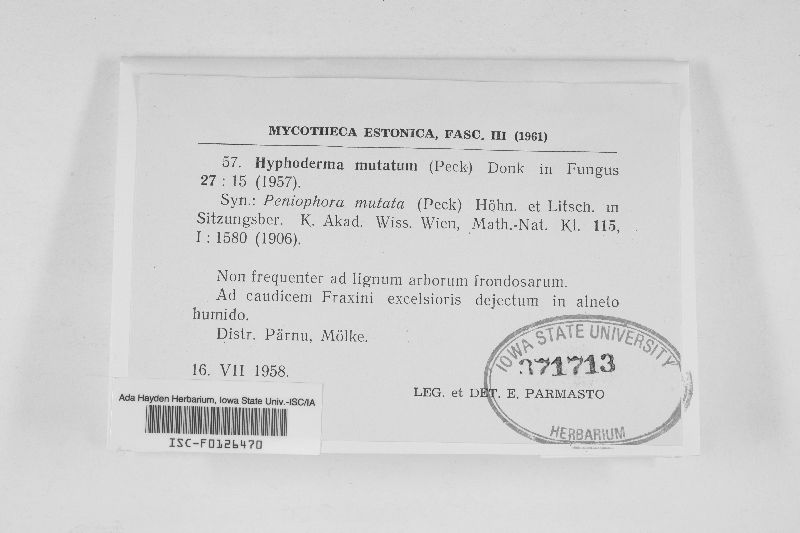 Mutatoderma mutatum image