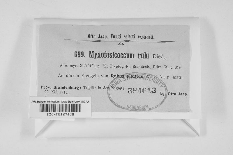 Myxofusicoccum rubi image