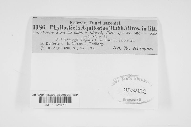 Ascochyta aquilegiae image