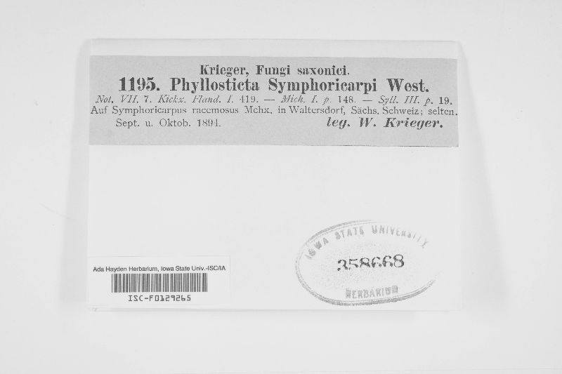 Ascochyta tenerrima image