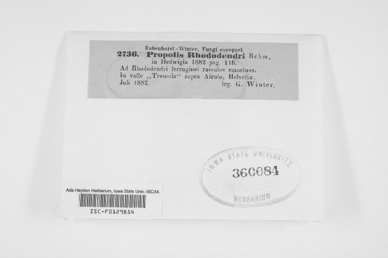 Propolis rhododendri image