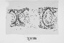 Mycosphaerella fragariae image