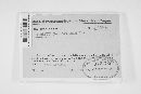 Veluticeps ambigua image
