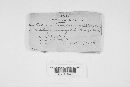 Ustilago crus-galli image
