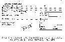 Xylaria bipindensis image