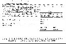 Cymatoderma elegans image