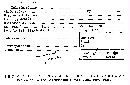 Xylaria biceps image