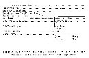 Stereum membranaceum image