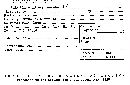 Coltricia cinnamomea image