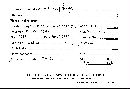 Fomes pseudosenex image