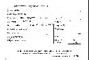 Cymatoderma infundibuliforme image