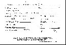 Cymatoderma infundibuliforme image