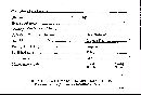 Cymatoderma elegans image