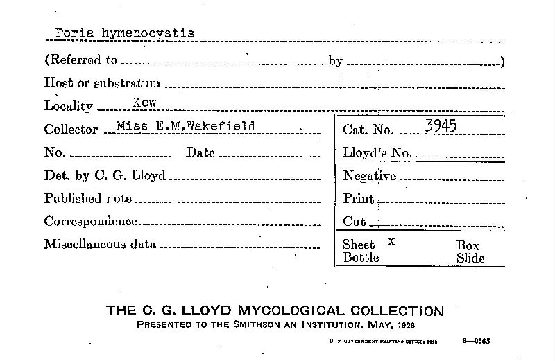 Poria hymenocystis image