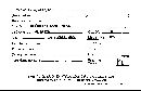 Syzygospora mycetophila image