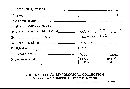 Daedalea quercina image