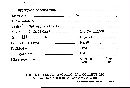 Hypomyces aurantius image