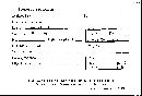 Hypomyces macrosporus image