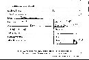 Gloeophyllum protractum image