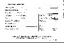 Lycoperdon gemmatum image