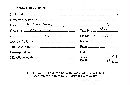 Hydnellum geogenium image