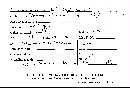 Steccherinum ochraceum image