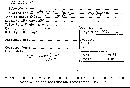 Scleroderma cepa image