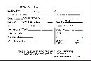 Cerrena unicolor image