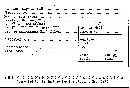 Clavulinopsis laeticolor image