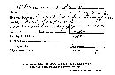 Stereum molle image