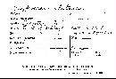 Trichoderma alutaceum image