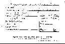 Hypocrea saccharalis image