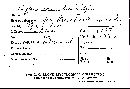 Hypocrea schweinitzii image