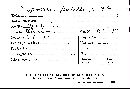 Hypocrea patella image